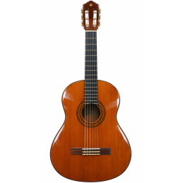 Guitarra Electroacústica...