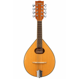 Mandolin Electroacústico...